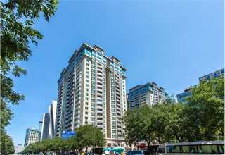 河北氰醋酸乙酯价格